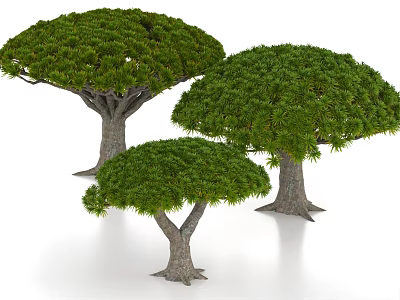 Three Large Arbor Trees With Thick Trunks And Lush Green Canopies 3d model