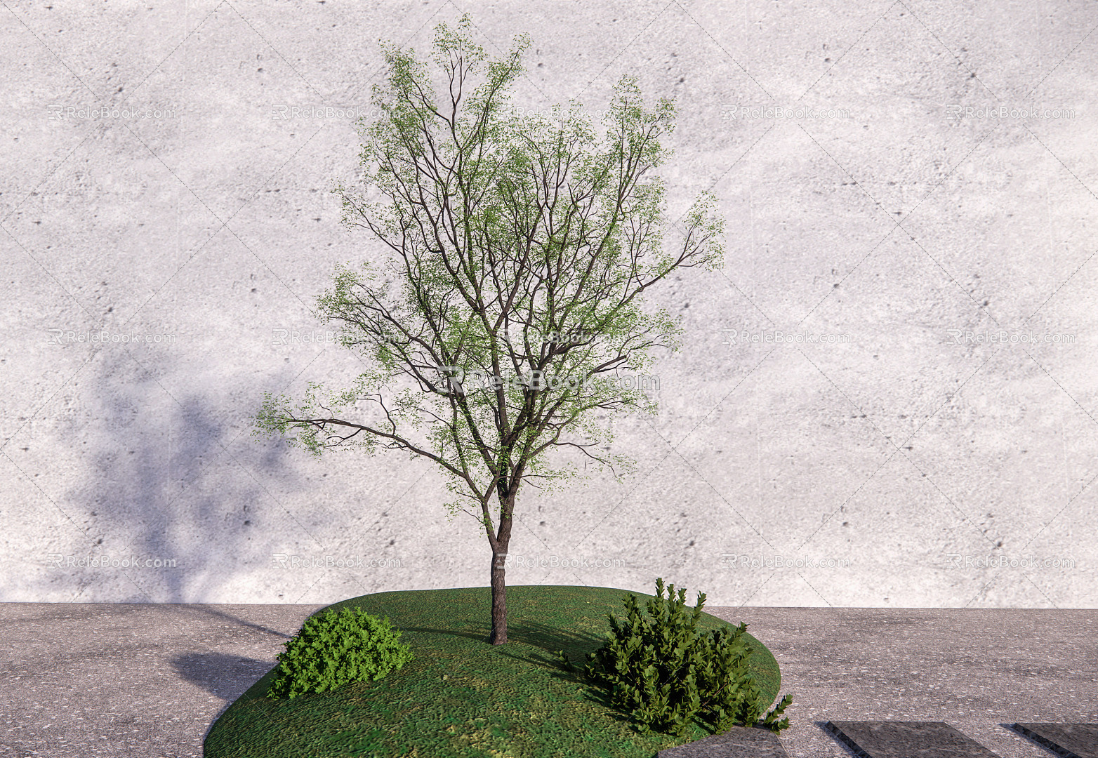 Modern Tree Plant Trees Arbor 3d model