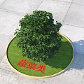 Lush Green Tree Planted In Circular Grassy Area Labeled Vegetable Category 3d model