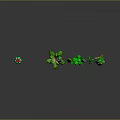 Various Green Plants With Different Shapes Including Cactus and Colorful Yellow Red Accents