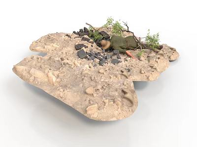 Game and Movie Character in Sandy Terrain with Rocks Branches and Green Plants 3d model