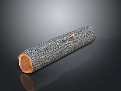 Arbor Tree Trunk With Natural Wooden Texture Smooth Cross Section And Grain Details 3d model