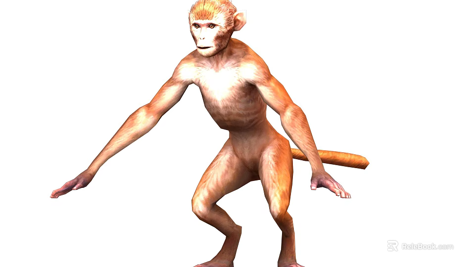 Realistic 3D Monkey Model With Standing Posture And Brown Fur Details 3d model