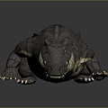 Crocodile Alligator Nile Crocodile carnivore reptile cold-blooded animal reptile reptile 3d model