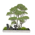 Bonsai Potted Plant with Lush Green Trees Small Stone Lantern Decorative Stones and Rectangular Container