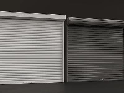 White and Dark Gray Roller Doors Exterior Design With Modern Look 3d model