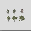 Various Green and Red Leaf Trees in Different Shapes Isolated on White Background 3d model