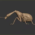Golden Textured Beetle Sculpture Featuring Shiny Surface And Dark Background Reflection