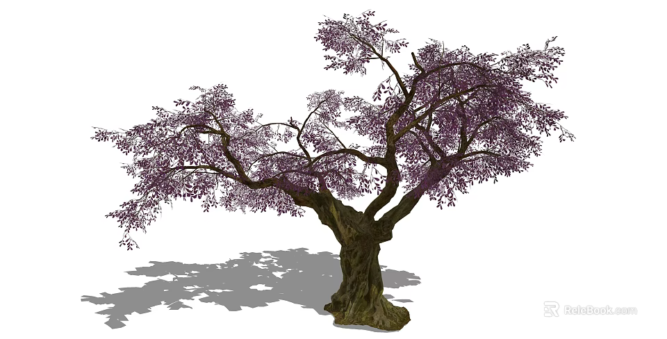 Lush Arbor With Purple Leaves Thick Trunk And Spreading Branches Shadow 3d model 