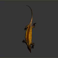 Prehistoric Sailback Reptile Character Realistic Orange Yellow 3D Model Isolated on Gray Background