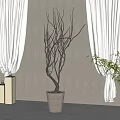 Bare Branched Bonsai Plant in Woven Pot Indoor with White Curtains and Square Lantern