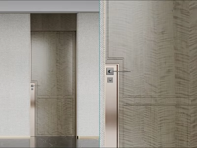 Sleek Modern Hinged Door With Wood Grain Finish And Silver Handle For Home Interior 3d model