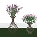 Ornamental Trees In Wicker Vase Shaped Planters With Purple Flowers On Green Lawn