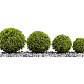 Modern Shrub Spherical Shrub 3d model