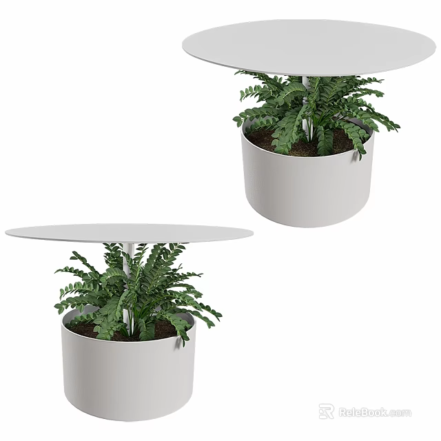 White Flower Pot With Green Fern Plant And Round Tray Design 3d model 