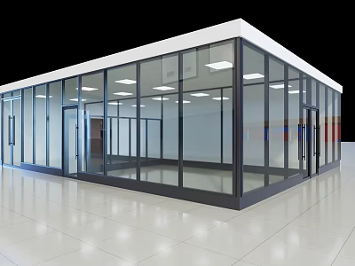 Spacious Modern Villa Balcony with Glass Walls White Flooring and Ceiling Lights 3d model
