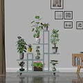 Bright Indoor Garden Decor With Multi Tiered Shelves Potted Plants And Wall Art