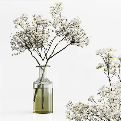 Fresh White Flowers Arranged in Striped Transparent Glass Vase Home Decor 3d model