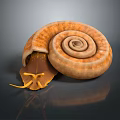Snail Cartoon Snail Small Snail Reptile Cold Blooded Animal Reptile 3d model