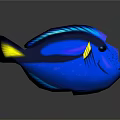 Blue Fish With Yellow Fins Black Eyes And Vibrant Coloration