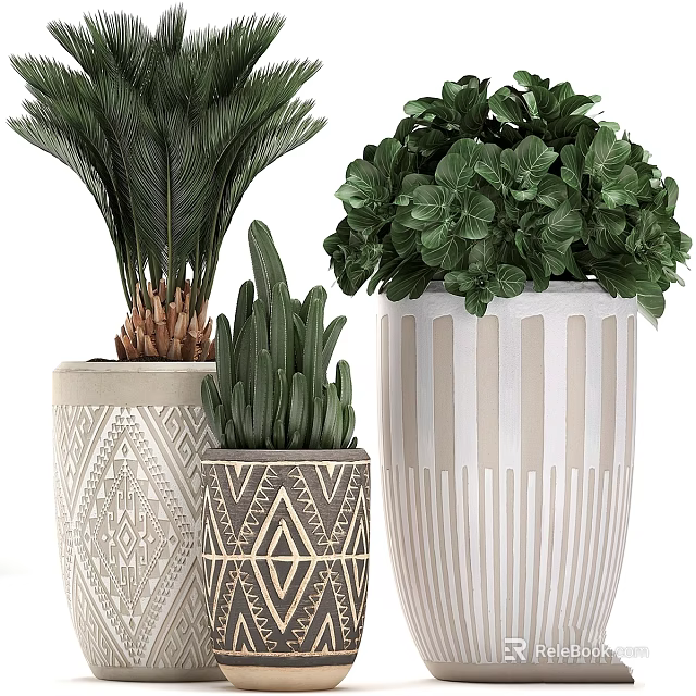 Modern Garden Decor Elements With Geometric Patterned Planters And Assorted Green Foliage Plants 3d model 