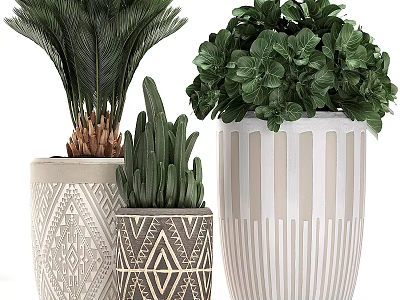 Modern Garden Decor Elements With Geometric Patterned Planters And Assorted Green Foliage Plants 3d model