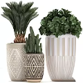 Modern Garden Decor Elements With Geometric Patterned Planters And Assorted Green Foliage Plants