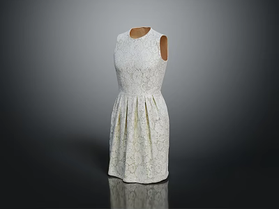 Elegant White Sleeveless Lace Dress With Pleated Skirt Design Details 3d model