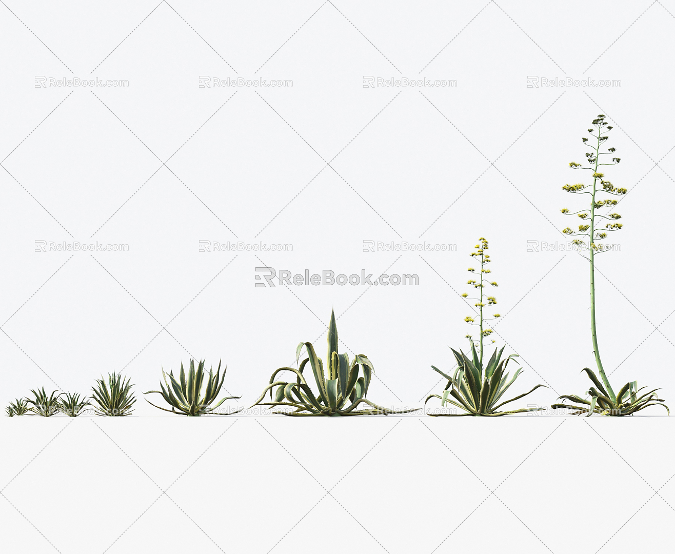 Modern Plants Desert Plants 3d model