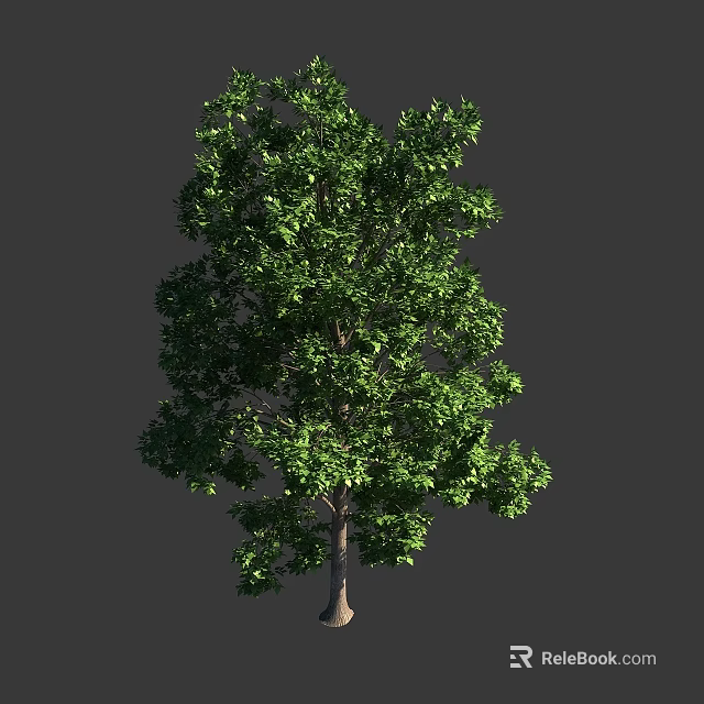 Lush Green Leafy Arbor Tree With Brown Trunk Isolated On Gray Background 3d model