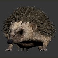 Modern Hedgehog Cartoon Hedgehog Animation Hedgehog 3d model