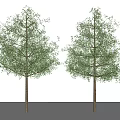 Modern Trees Elemene Trees 3d model