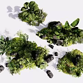 Various Green Tropical Plants With Lush Foliage And Decorative Stones Arrangement
