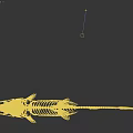 Detailed Aquatic Animal Fish Skeleton Structure On Black Background With Bone Anatomy