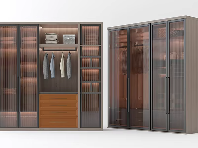 Modern Wardrobe with Glass Doors Wooden Drawers Hanging Rods and Shelves 3d model