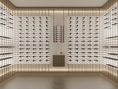 Modern Luxury Wine Cellar With Well Lit Wine Racks And Cabinet 3d model