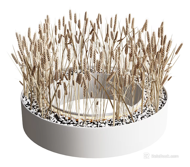 Wheat Ears Growing in White Circular Pot With Black and White Pebbles at the Bottom 3d model 