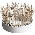 Wheat Ears Growing in White Circular Pot With Black and White Pebbles at the Bottom