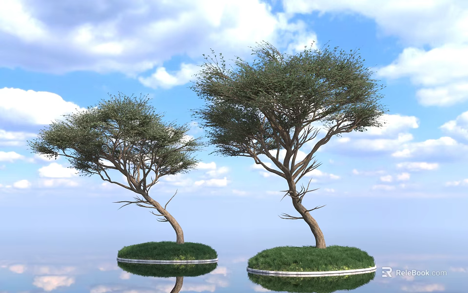 Curved Arbor Trees On Green Grass Islands With Blue Sky And Water Reflection 3d model 