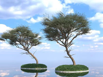 Curved Arbor Trees On Green Grass Islands With Blue Sky And Water Reflection 3d model