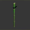 Green Bamboo Plant With Segments Shoots And Leaves At The Top