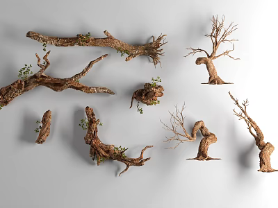 Various Shaped Tree Branches With Green Foliage Display On Gray Background 3d model