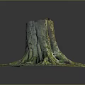 Natural Wooden Tree Stump With Exposed Roots And Green Mossy Grass