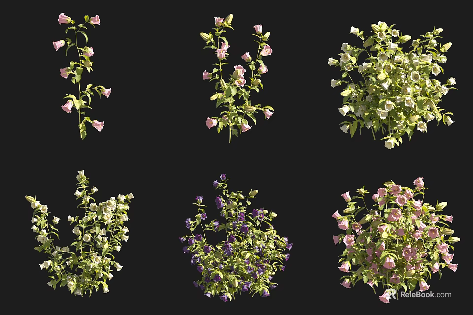Diverse Flower and Plant Varieties Featuring Pink White Purple Blooms and Lush Green Foliage 3d model 
