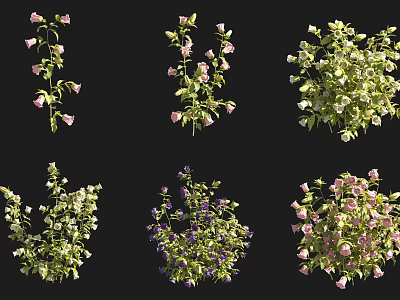 Diverse Flower and Plant Varieties Featuring Pink White Purple Blooms and Lush Green Foliage 3d model