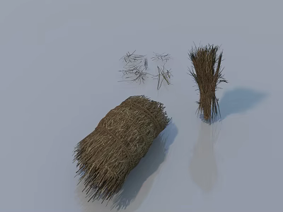 Different Shaped Hay Bales With Scattered Hay On White Surface 3d model