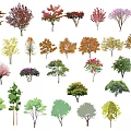Modern Tree Landscape Tree 3d model