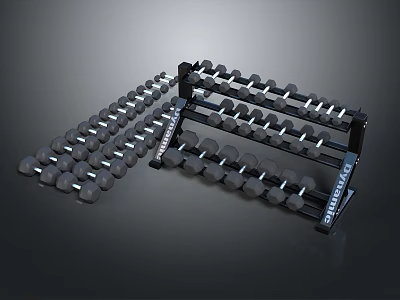 Fitness Equipment Dumbbell Rack Holding Multiple Black Dumbbells Organized Neatly 3d model