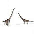 Two Detailed Realistic Dinosaur Models With Long Necks On White Background