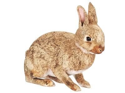 Realistic Brown Stuffed Rabbit Toy With Upright Ears And Soft Texture 3d model